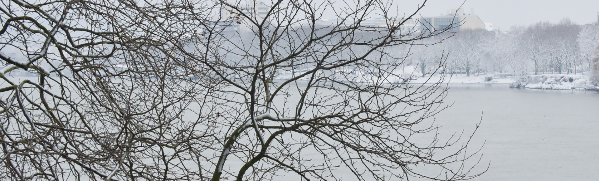 Visuel décoratif grand froid à Asnières.