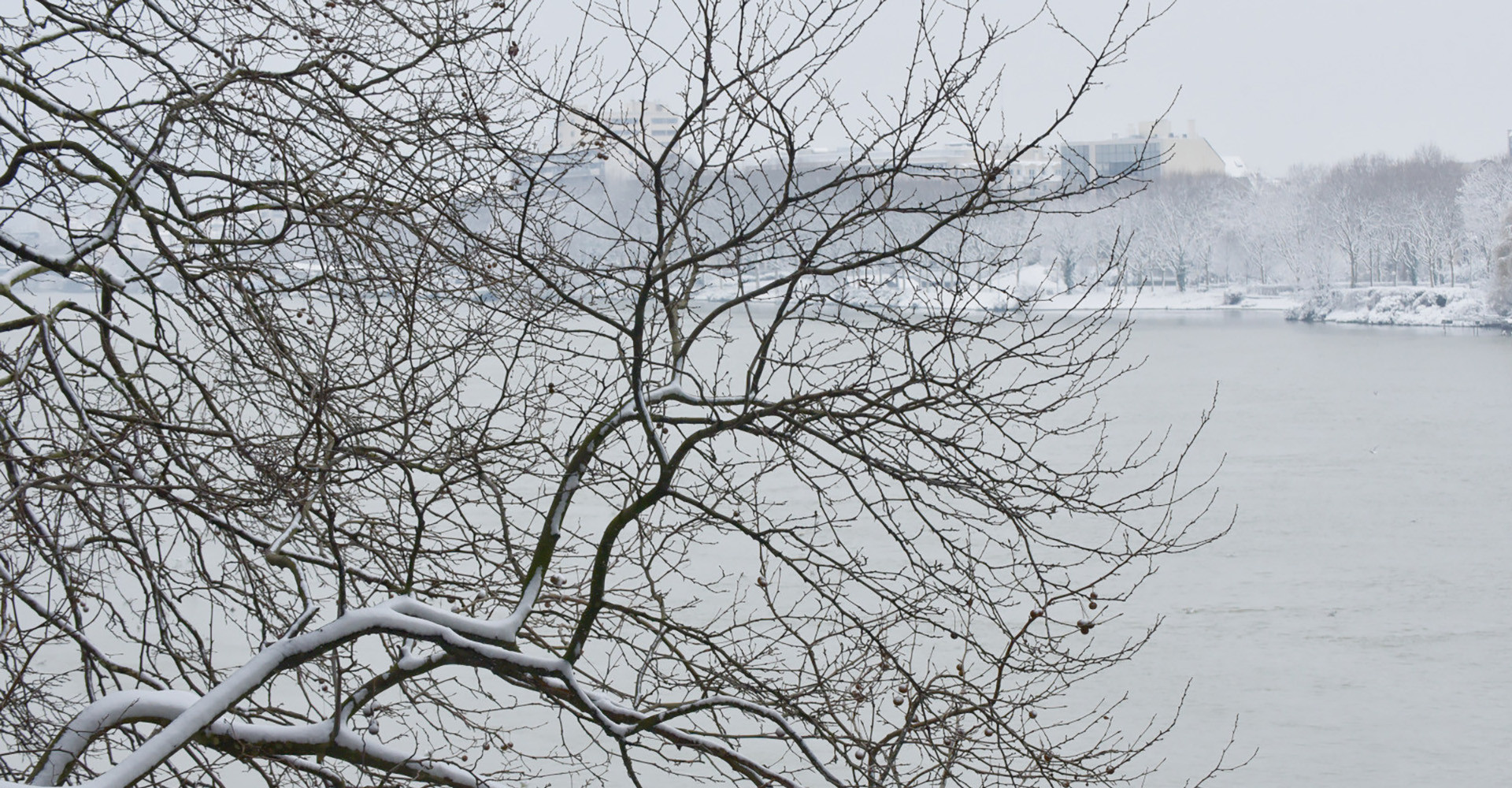 Visuel décoratif grand froid à Asnières.