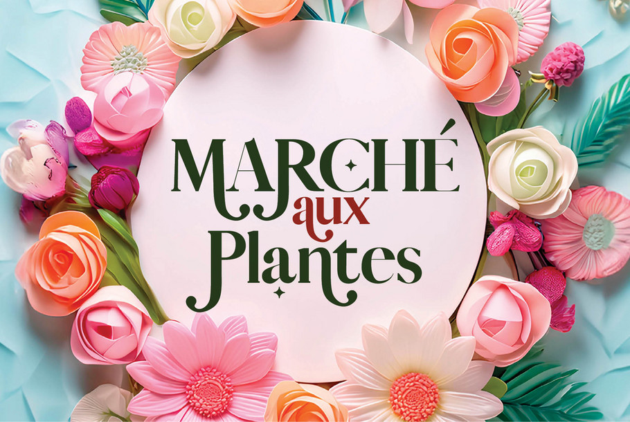 Marche_aux_plantes2024_Vignette_941x630px.jpg
