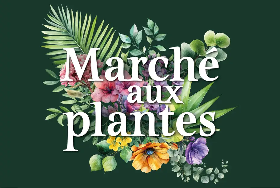 Marche_aux_plantes_Vignette_941x630px.jpg