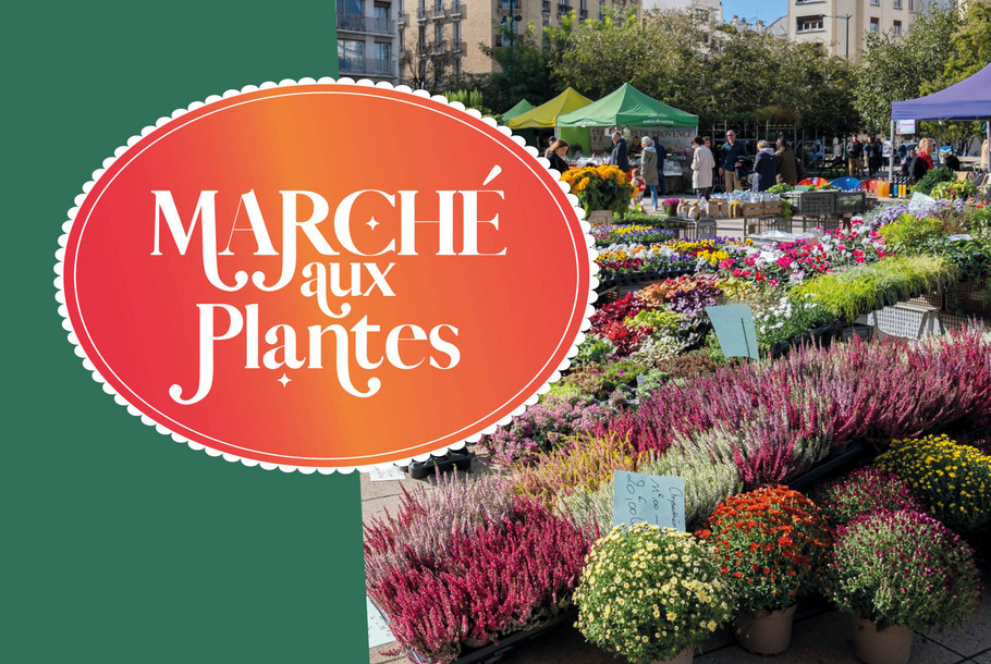 Marche_aux_plantes_Vignette_site.jpg