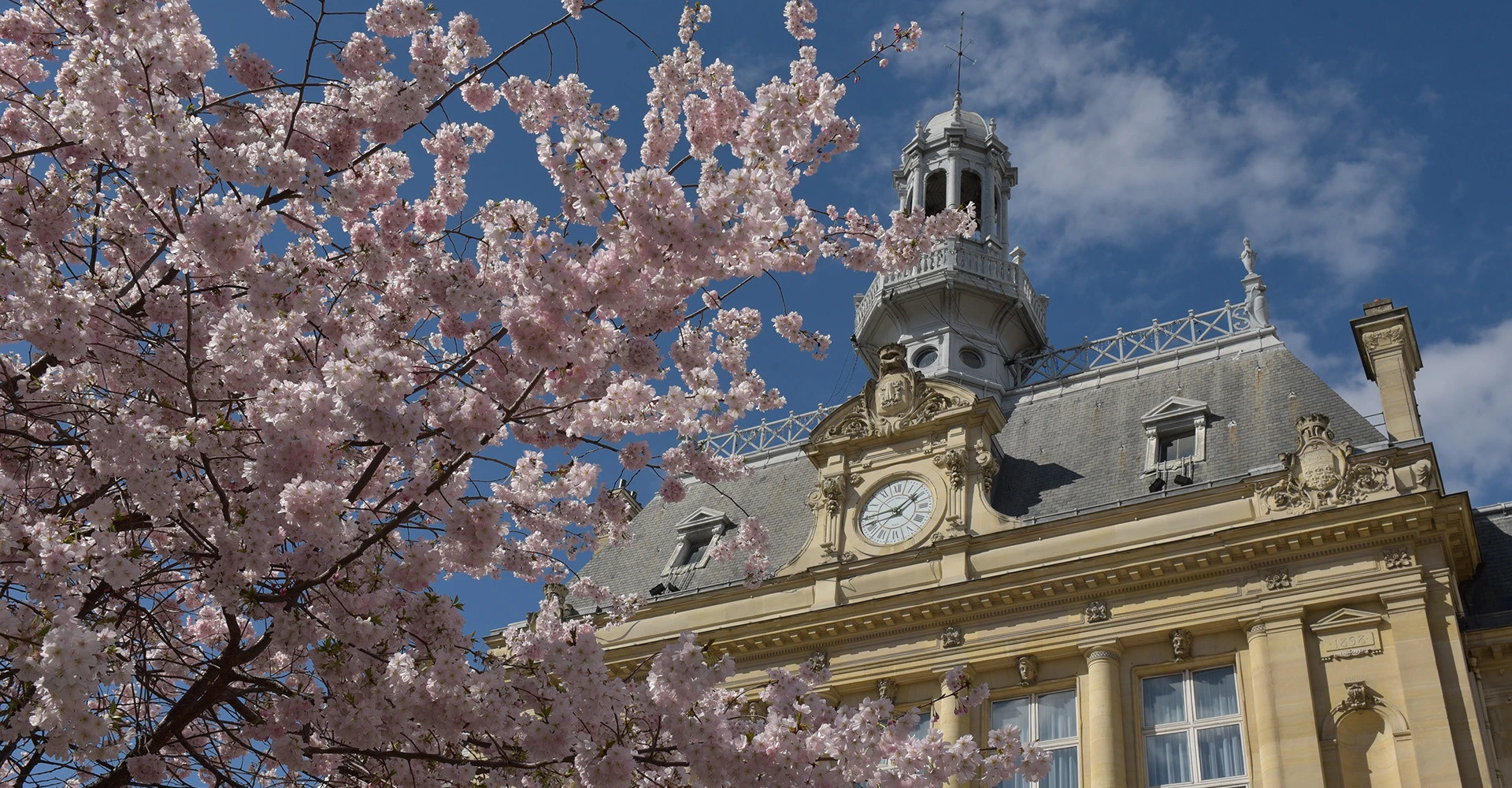 Visuel décoratif représentant la façade de l'hôtel de ville avec des arbustes en fleurs.