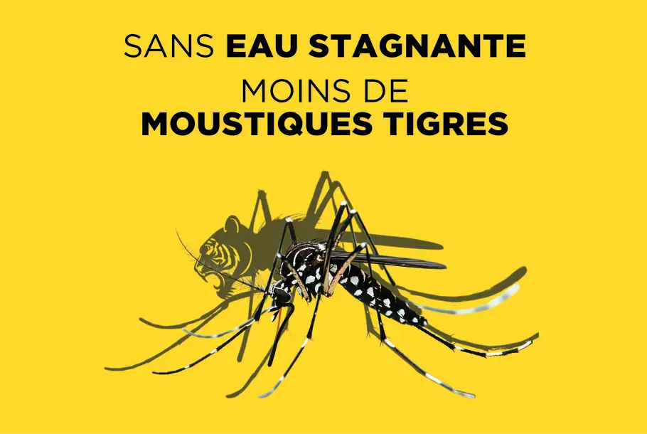 Campagne_moustique_tigre_Vignette_941x630px.jpg