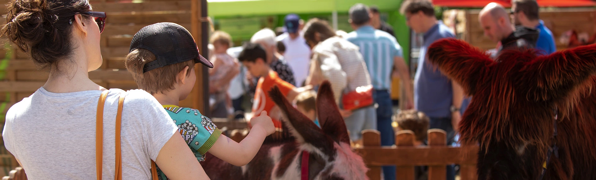 Visuel décoratif représentant une personne avec un enfant à la fête des ânes.