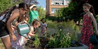 Visuel décoratif représentant des enfants faisant du jardinage.