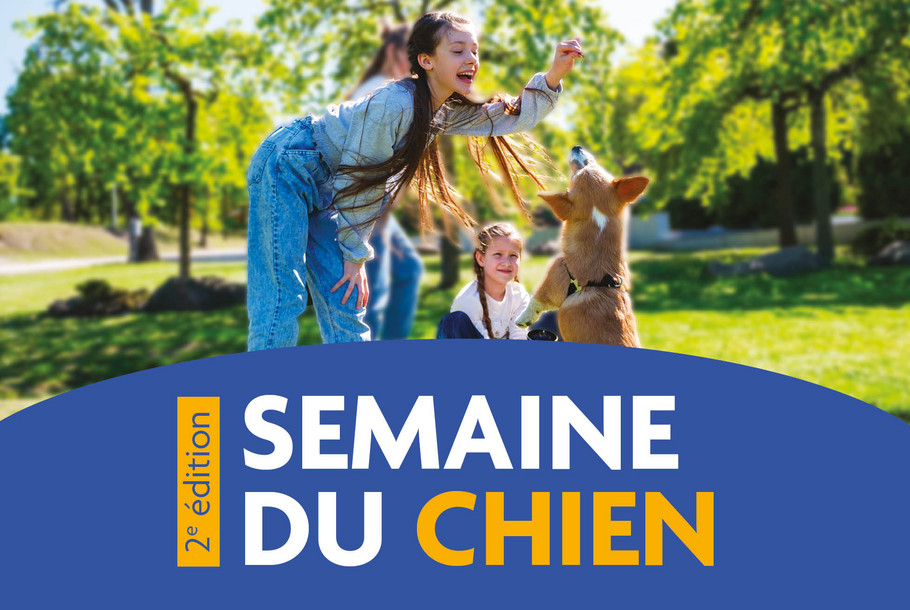 Semaine_du_chien_Vignette_941x630px.jpg