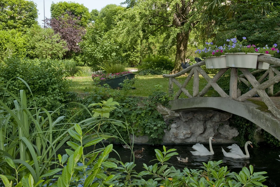biodiversite.jpg