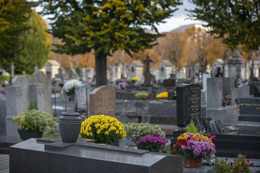 Une prise à l'intérieur du cimetière des chiens