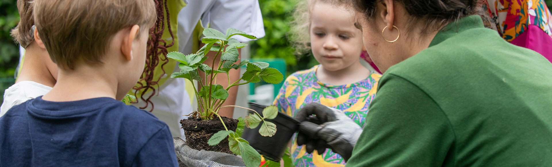 Visuel décoratif représentant des enfants en train de participer à un atelier jardinage avec des adultes.