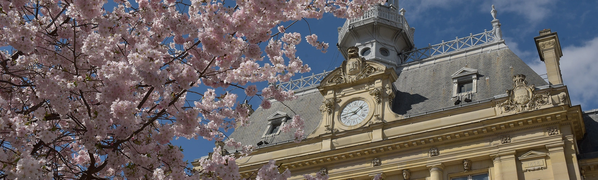 Visuel décoratif représentant la façade de l'hôtel de ville avec des arbustes en fleurs.