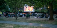 Visuel décoratif représentant une soirée cinéma en plein air.