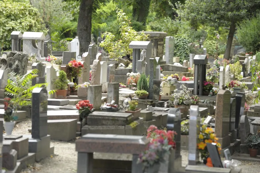 Une photo de l'intérieur du cimetière des chiens