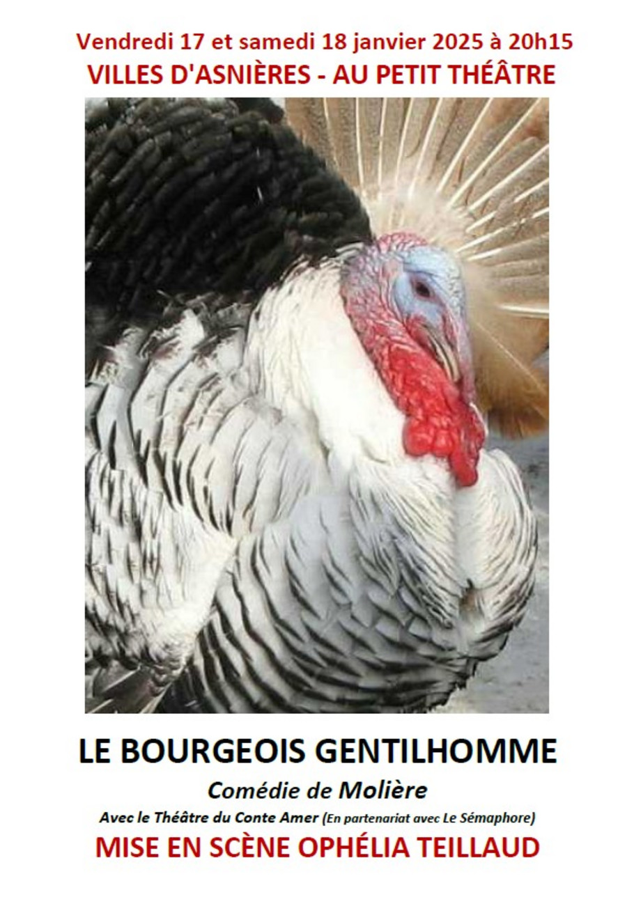 Affiche_du_bourgeois_gentilhomme.jpg